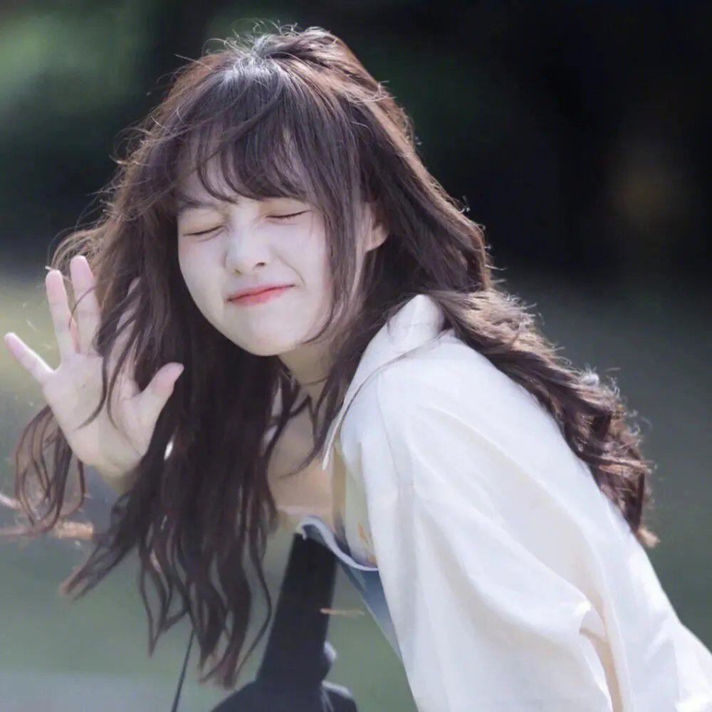 南拳蔡李佛粤语